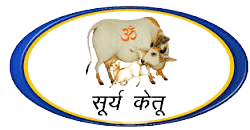 suryaketu-removebg-preview