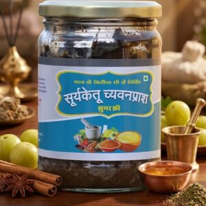 Suryaketu Suger Free Chyawanprash 500g