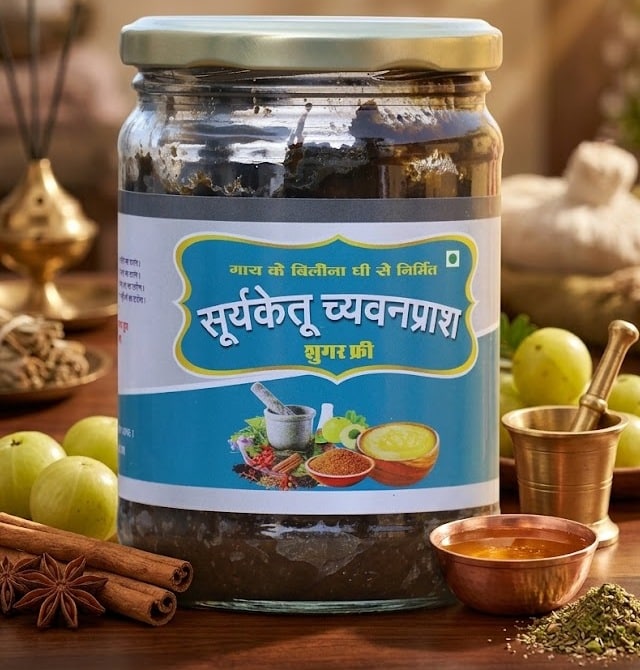 Suryaketu Suger Free Chyawanprash 500g